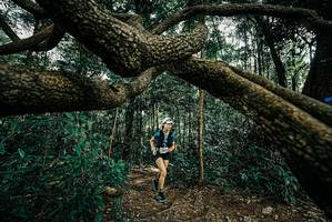 BIB: 
                            <button type="button" onclick="openModal(25708070)" class="btn btn-primary btn-sm float-right btn-popup" data-toggle="modal" data-target=".modal-high-quality">
                        <i class="fas fa-shopping-cart"></i> Add to Cart
                    </button>
                                            <button type="button" onclick="isThisMe(25708070, true)" class="btn btn-success btn-sm float-right btn-popup btn-isme hidden" data-toggle="tooltip" data-placement="bottom" title="นี่คือรูปของคุณใช่ไหม คลิกที่นี่เพื่อเอาเข้าอัลบั้ม">
                        <i class="fas fa-plus"></i> Add to album
                    </button>
                    <button type="button" onclick="isThisMe(25708070, false)" class="btn btn-warning btn-sm float-right btn-popup btn-isnotme hidden">
                        <i class="fas fa-ban"></i> Remove from album
                    </button>